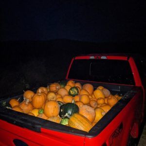 Pumpkin Haul